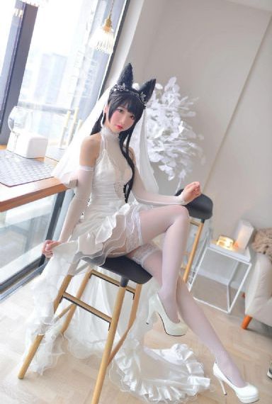 行尸走肉第十二季免费看