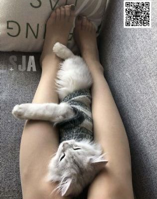 神勇小拳童