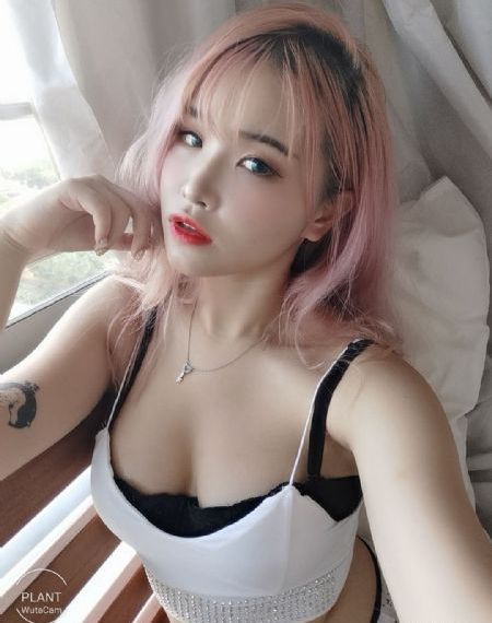 傲骨贤妻第六季