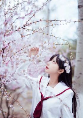 苍月奥特曼在线