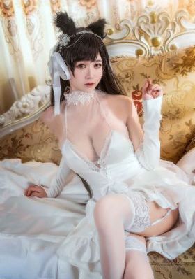 最新电视剧在线播放